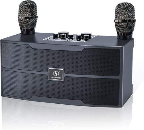 Karaoke Profesional, Altavoz Karaoke con 2 microfono inalambrico